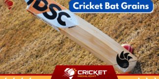 क्रिकेट के बल्ले में ग्रेन्स क्या है? | Cricket Bat Grains  