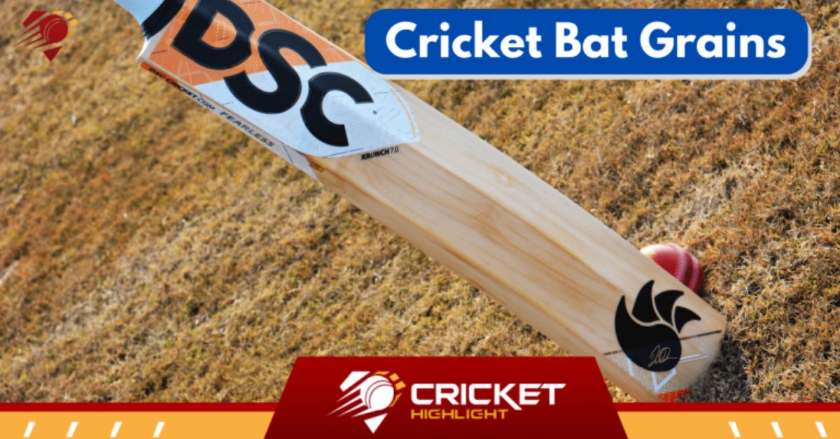 क्रिकेट के बल्ले में ग्रेन्स क्या है? | Cricket Bat Grains  