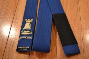 How Many Belt Ranks Are There In Jiu-jitsu?  
