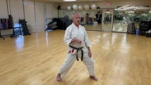 How To Increase Your MMA Arsenal's Advanced Switch Hitting?  