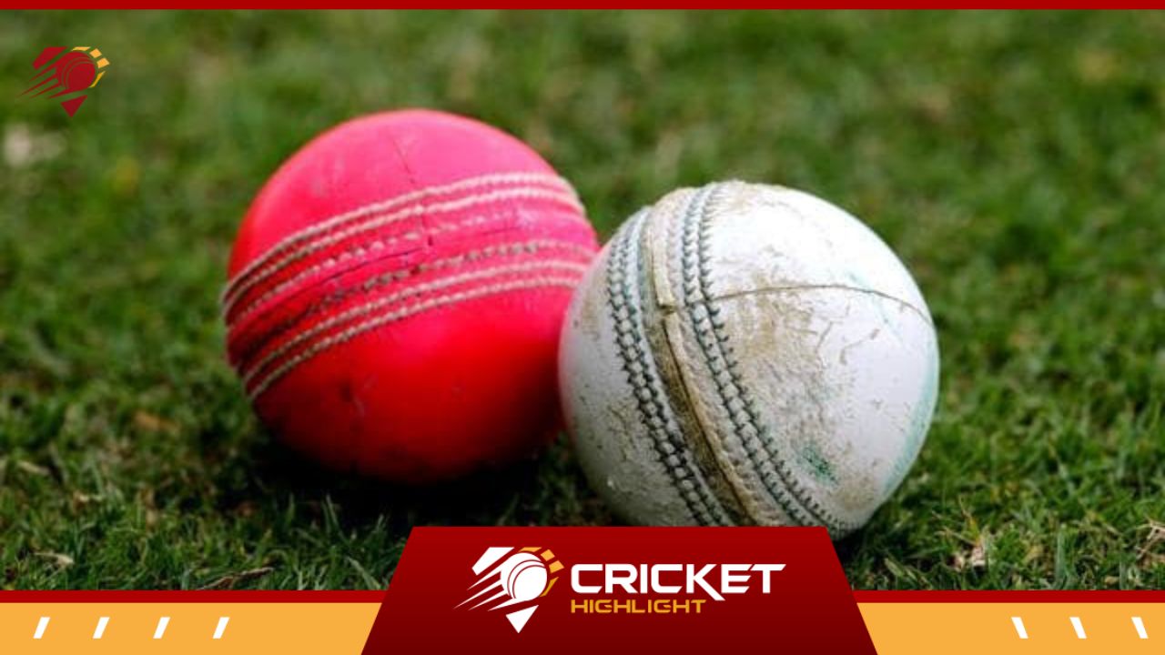 Types of Cricket Balls | क्रिकेट में कितने तरह की गेंदों का इस्तेमाल होता है?  