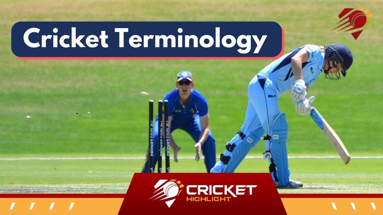 Cricket Terminology in Hindi | क्रिकेट की शब्दावली  