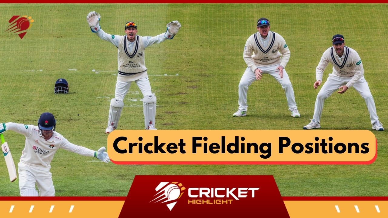 Cricket Player Positions in Hindi | क्रिकेट फील्डिंग पोजीशन  