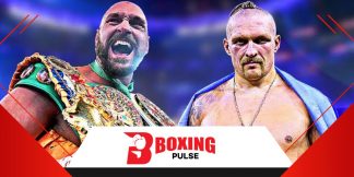 अगर फ़्यूरि लडाई के लिए नही मानते तो हर्गोविक होंगे अगले  