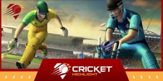 क्रिकेट खेलने से: क्रिकेट के दोष क्या हैं?  