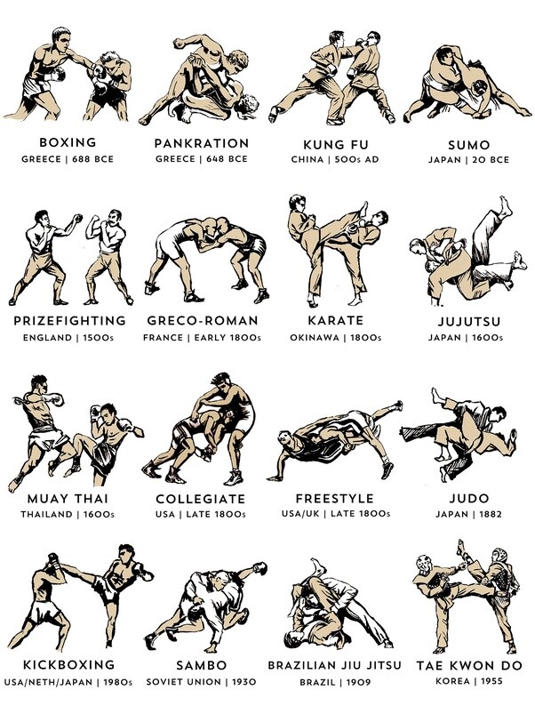 Brazilian Jiu-Jitsu History: The Perfect Martial Art  