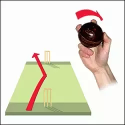 Types Of Deliveries In Cricket | Your Question Answered  