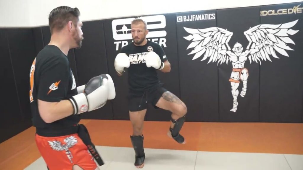 These Are The Top 6 MMA Combinations You Must Learn  