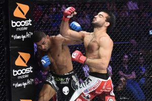 10 reasons why MMA is the hardest sport!  