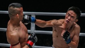 Techniques For MMA Defense Improvement  