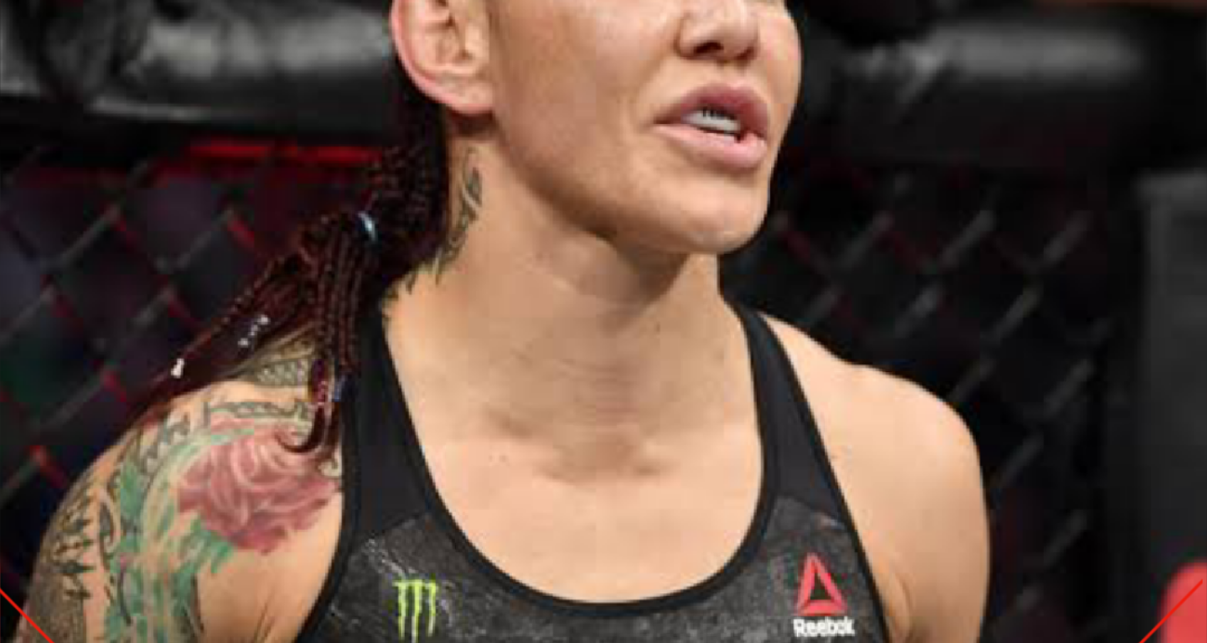 Chris cyborg ने गेब्बी हॉलोब्य को अपने पहले मुकाबले मे हराया  