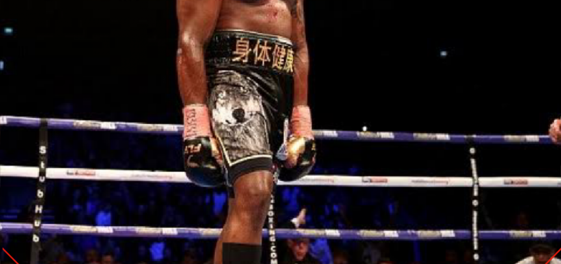 Whyte ने कहा जोशुआ ने उतनी अच्छी भी लडाई नही की  