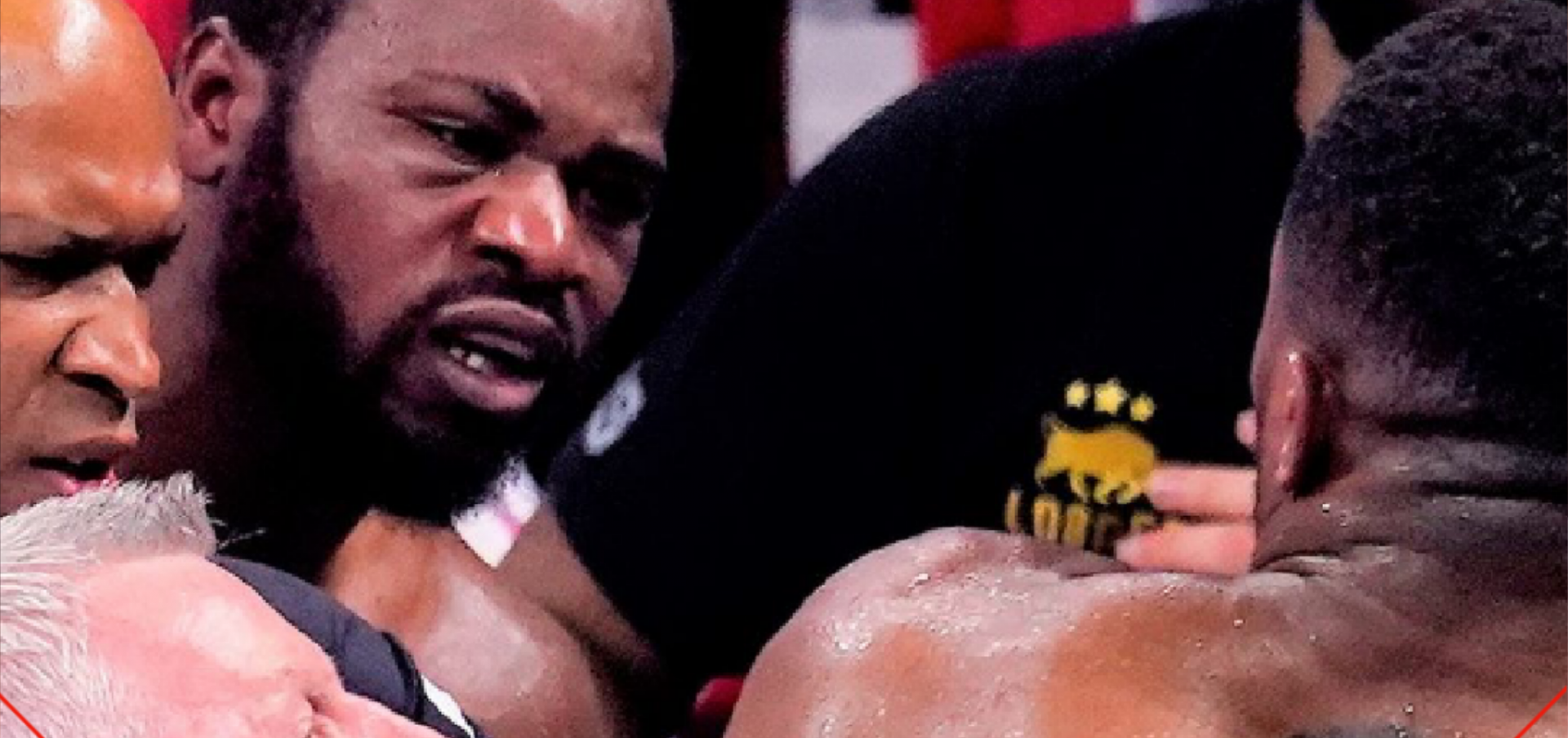 हार के बाद भी franklin बड़े बॉक्सर बन सकते है  