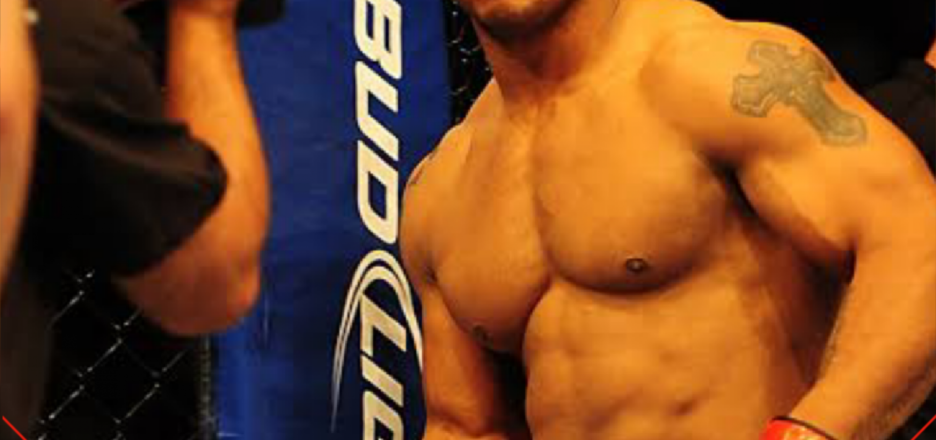 टॉप अंतरराष्ट्रीय MMA फाइटर्स रखने वाले देश  