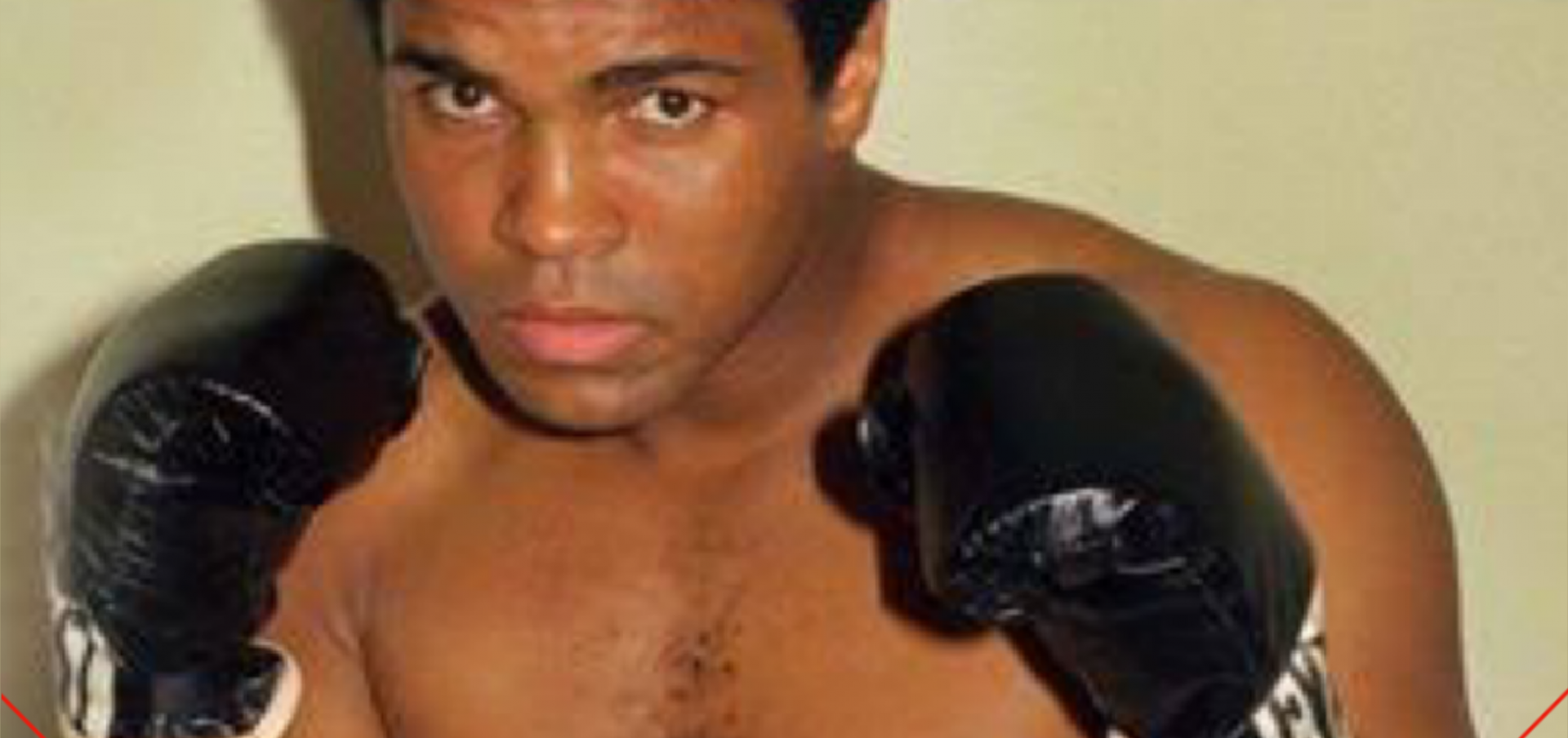 टॉप बोक्सरस् जो माने जाते है सबसे चतुर  