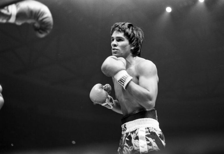 List Of All Weight Divisions In Professional Boxing  