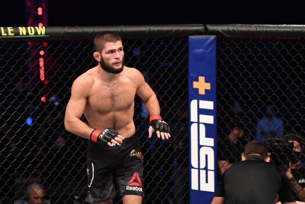 10 Best Fighters of the UFC Who Are Undefeated  