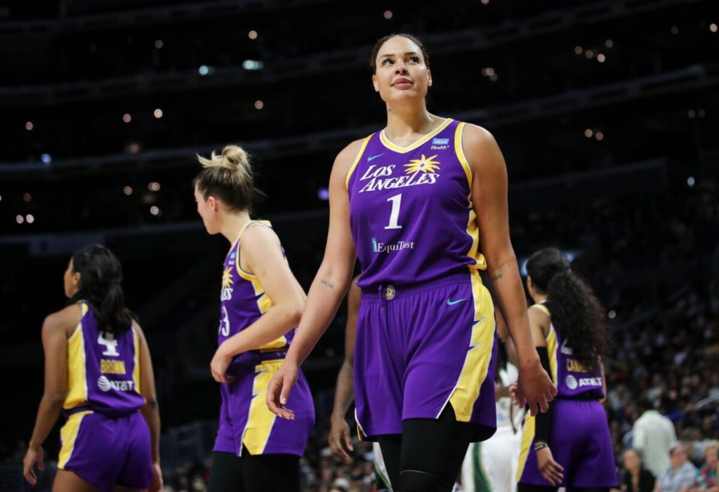 Top 10 Tallest Female Players in the History of WNBA  