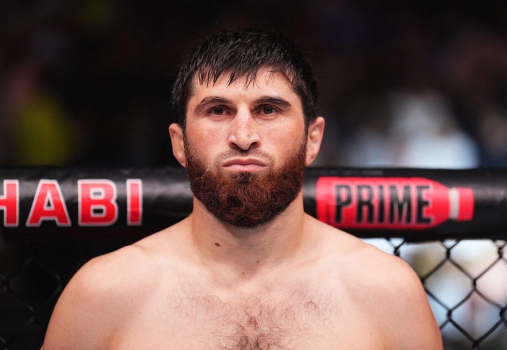 5 Potential Opponents for Light Heavyweight Champ Pereira  