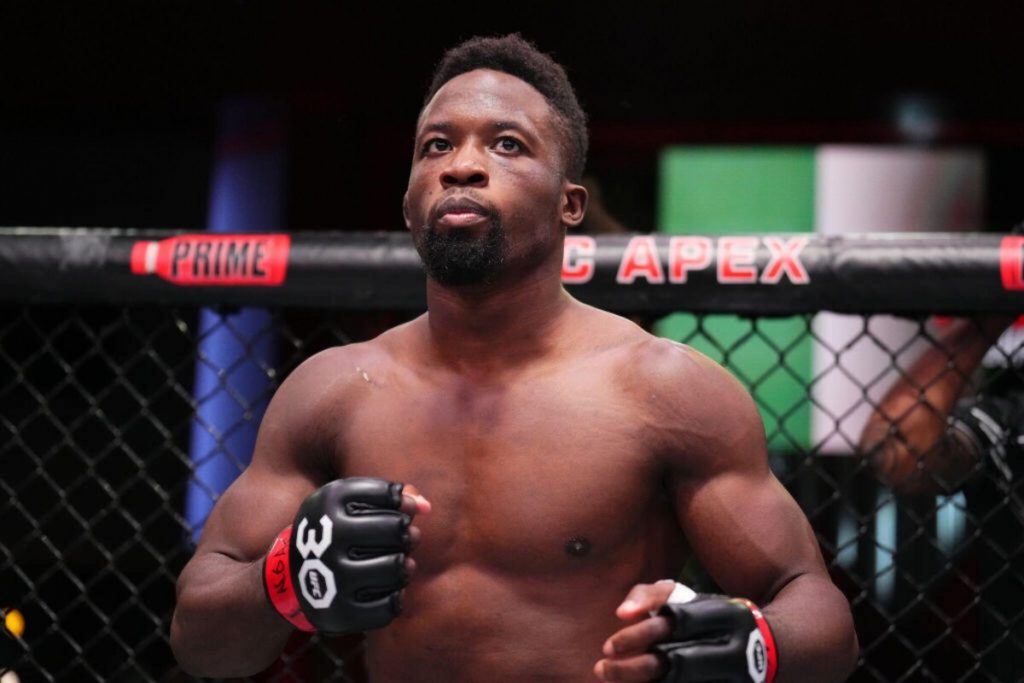 10 Best African MMA Fighters In UFC History 10 Best African MMA Fighters In UFC History
