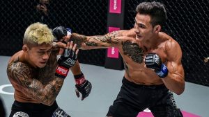 How To Increase Your MMA Arsenal's Advanced Switch Hitting?  