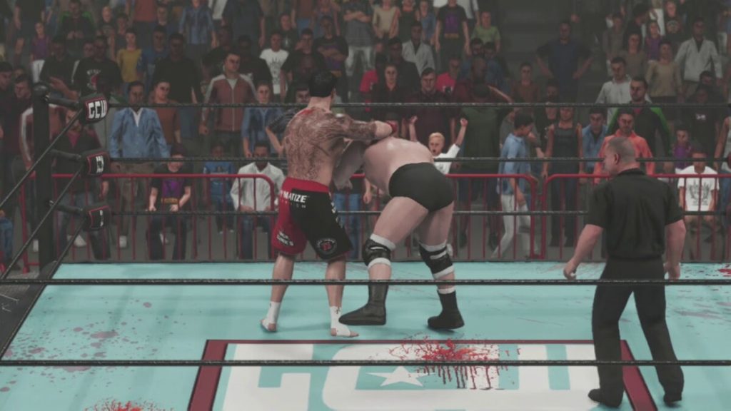 10 Things MMA Fans Should Know About Frank Mir  