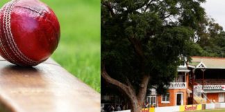 क्रिकेट के वो स्टेडियम जहां मैदान पर है पेड़, बदल जाते है कुछ नियम  