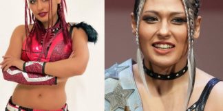 WWE NXT Fighter Giulia suffers an injury, delaying her debut  