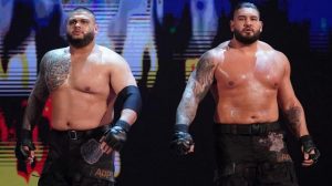 Triple H motivated this tag team to push themselves at WrestleMania  