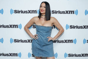 Former WWE star Nikki Bella's husband Artem arrested for domestic violence Former WWE star Nikki Bella's husband Artem arrested for domestic violence