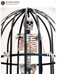 Rhea Ripley reveals the thing that WWE doesn't allow her to do  