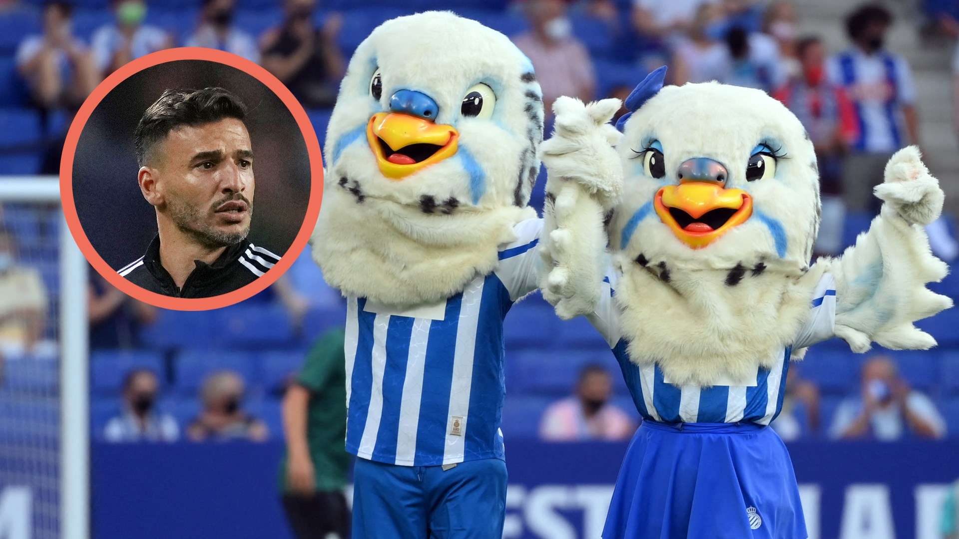 Mallo guilty of sexual assault after groping breasts of mascot  