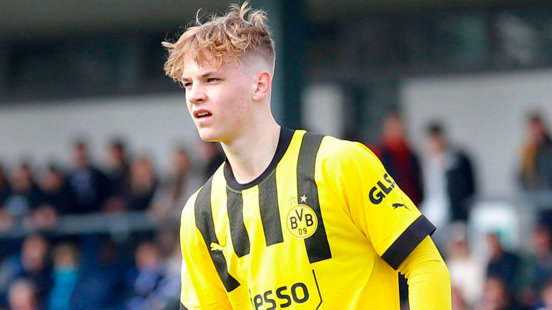USYNT star Cole Campbell called up to BVB senior team  