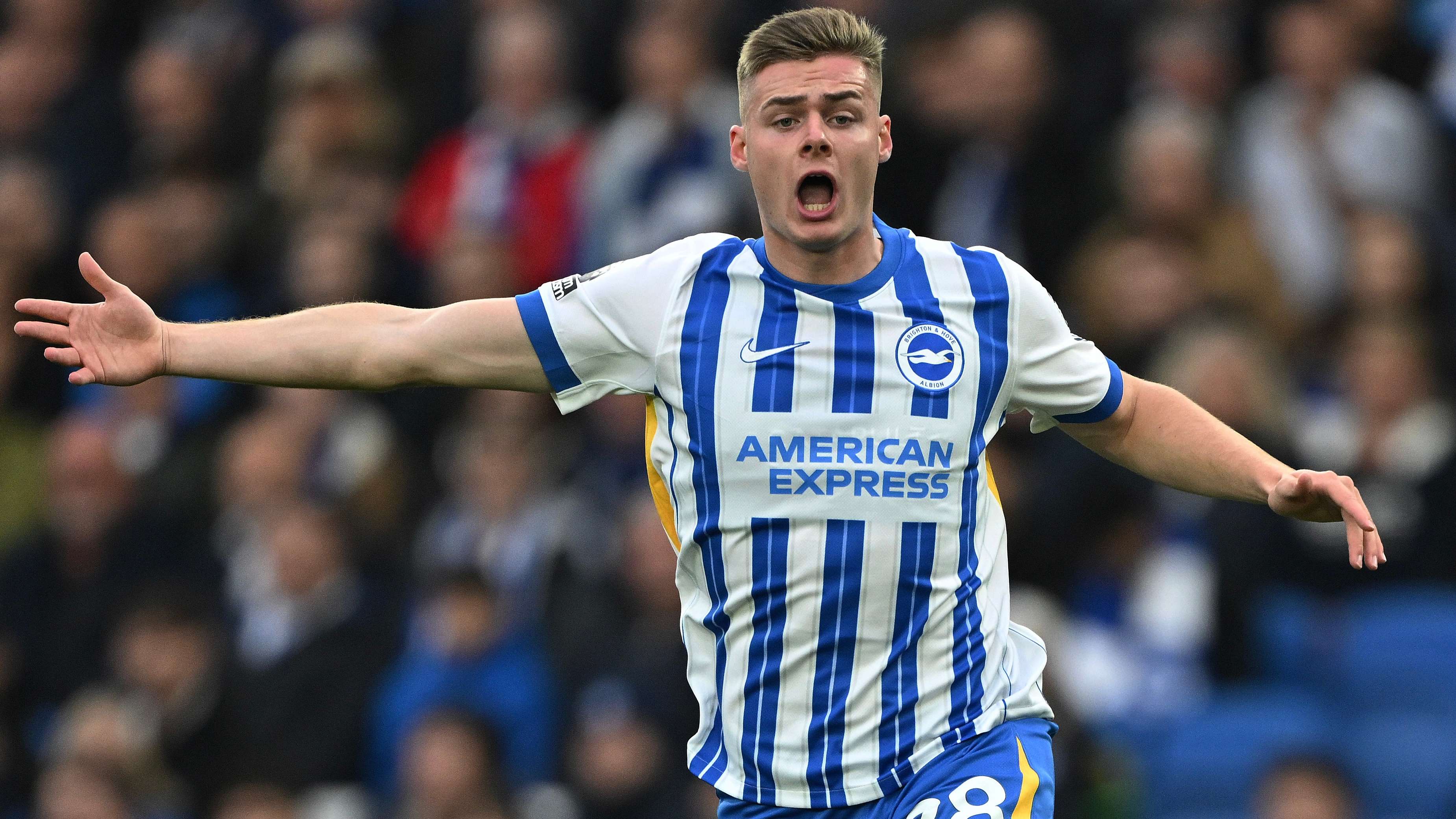 Arsenal's shock striker target! Gunners plot Ferguson move  