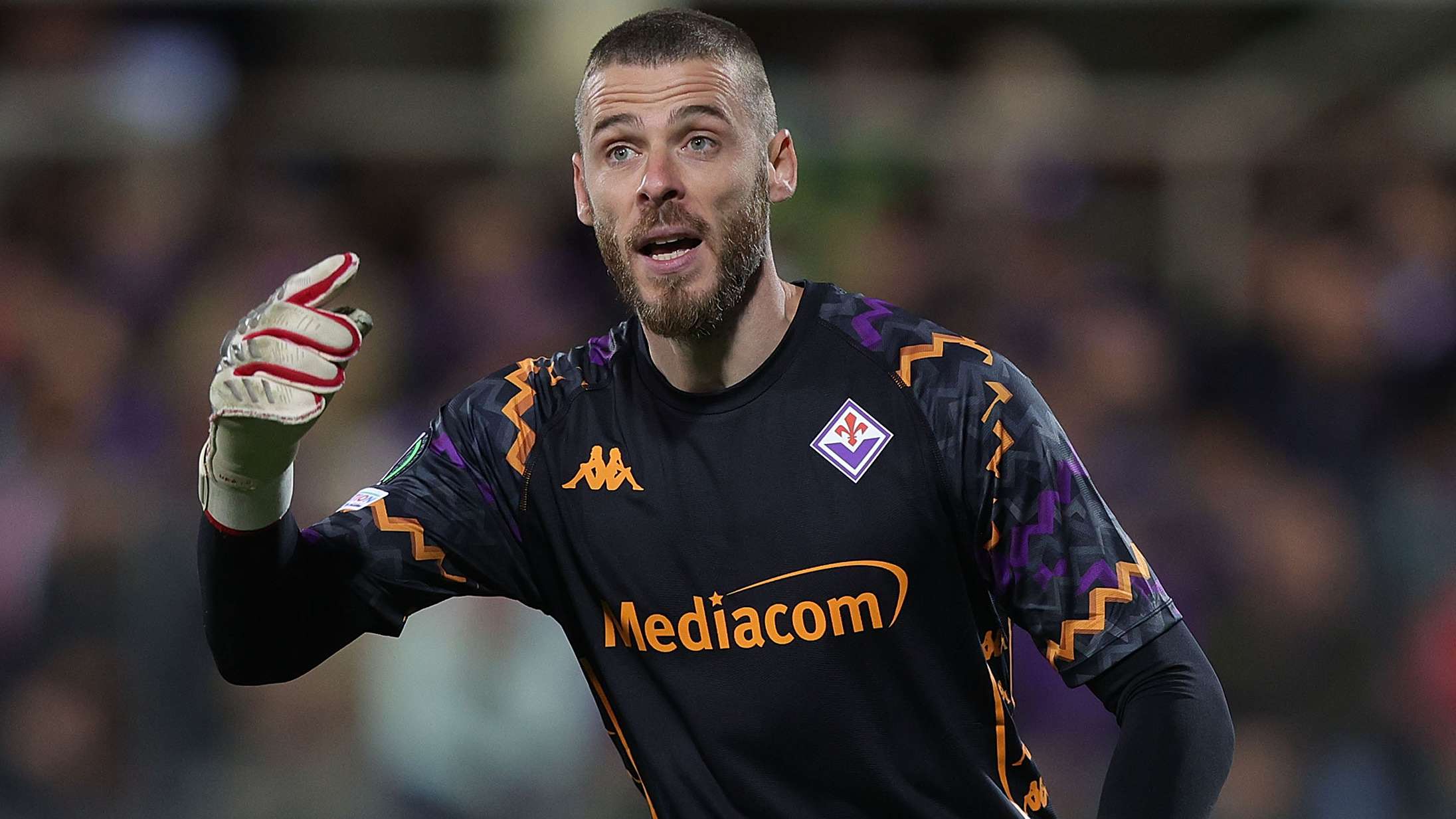 De Gea agrees long-term Fiorentina contract  