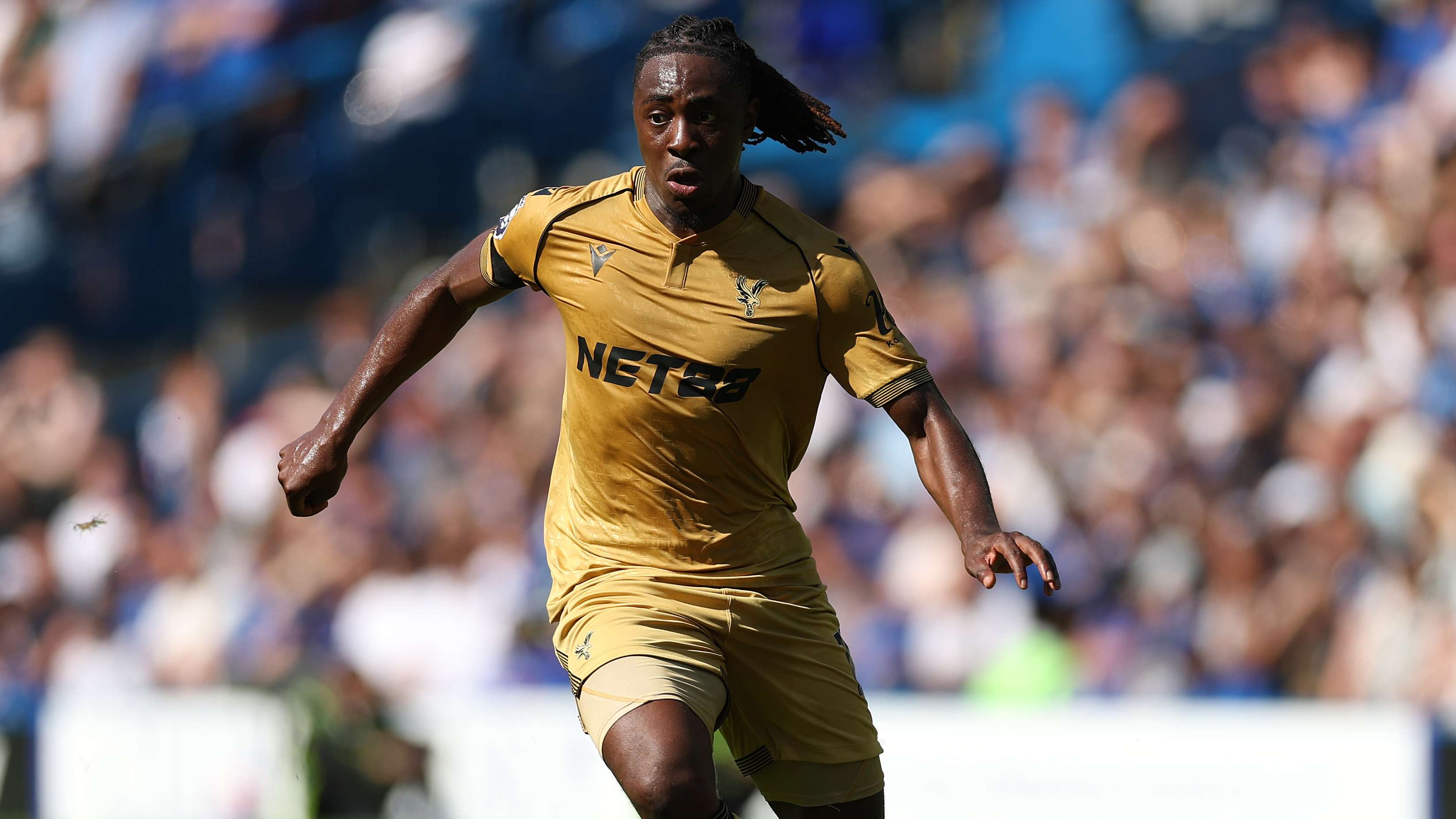 Title-winner?! Eze hailed as Arsenal's missing link  