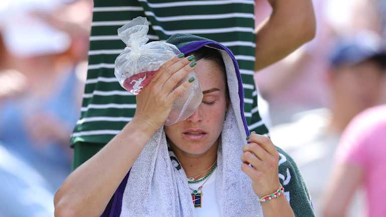 Wimbledon injury forces Grigor Dimitrov out of upcoming US Open  