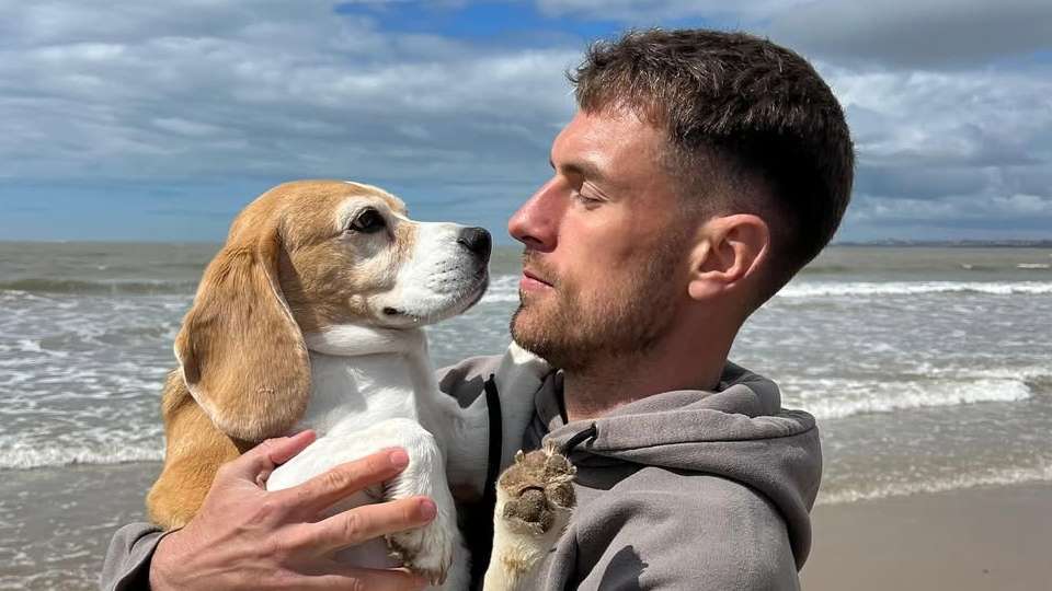 Ex-Arsenal star Ramsey offers reward for missing dog Halo  