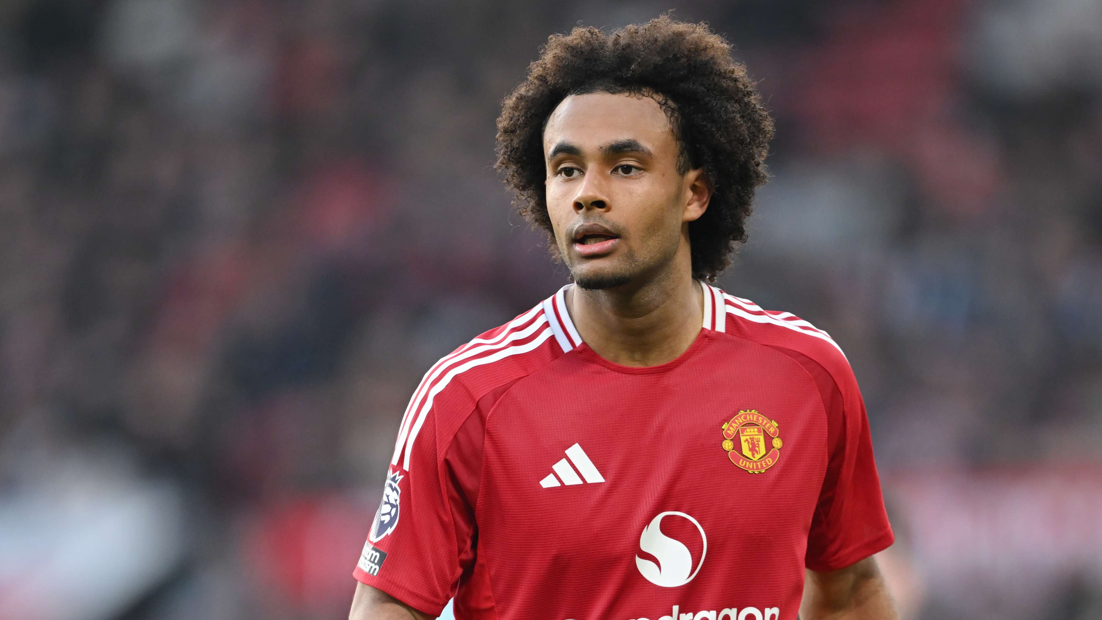 Man Utd outcast Zirkzee picks ideal next club  