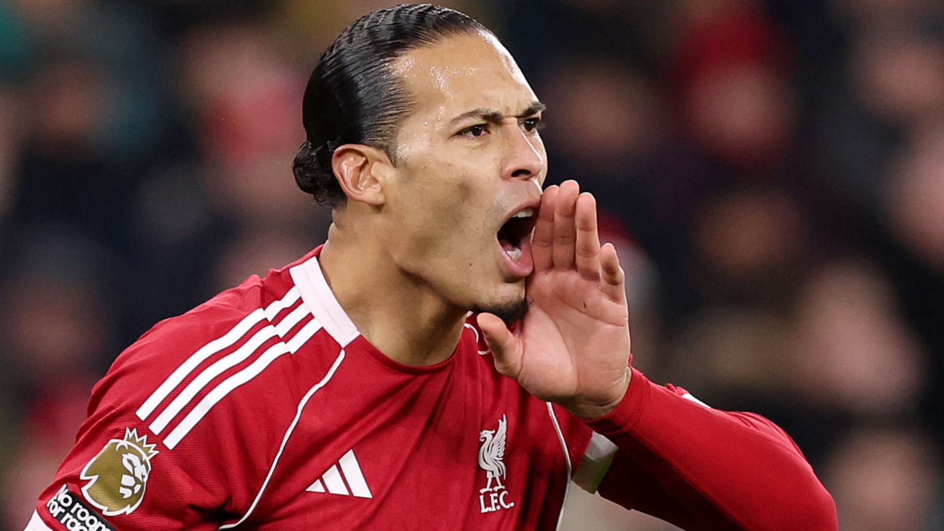 Van Dijk backed to stay 'even longer' despite £60m Jacquet deal  