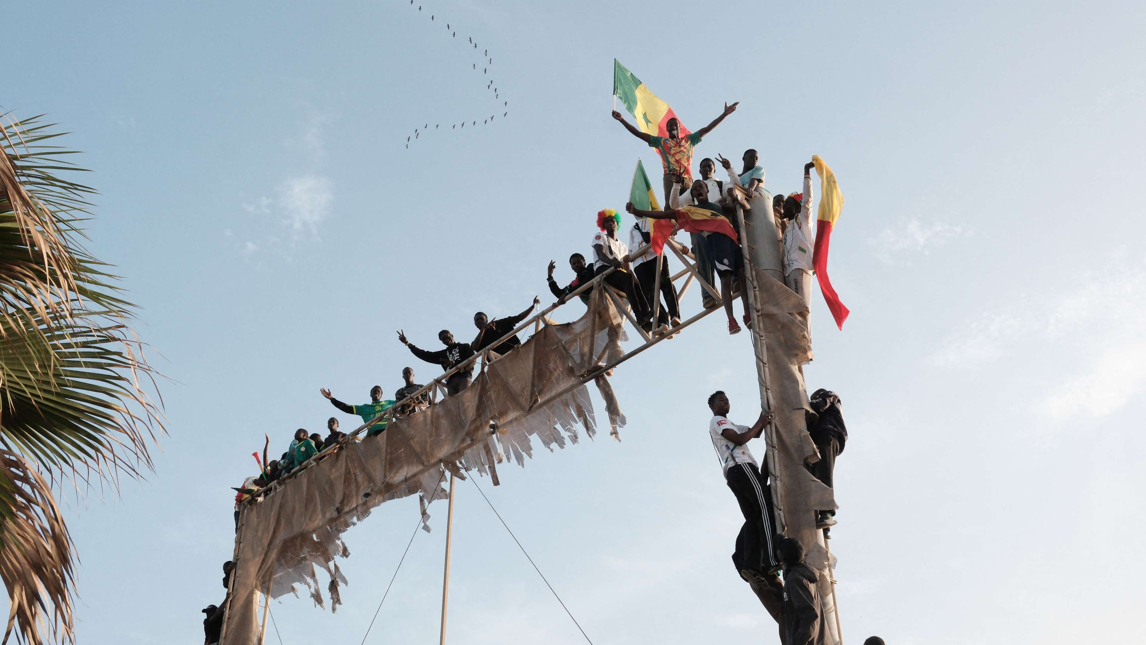 A corruption case shakes the Senegalese federation before the Africa Cup of Nations title session  