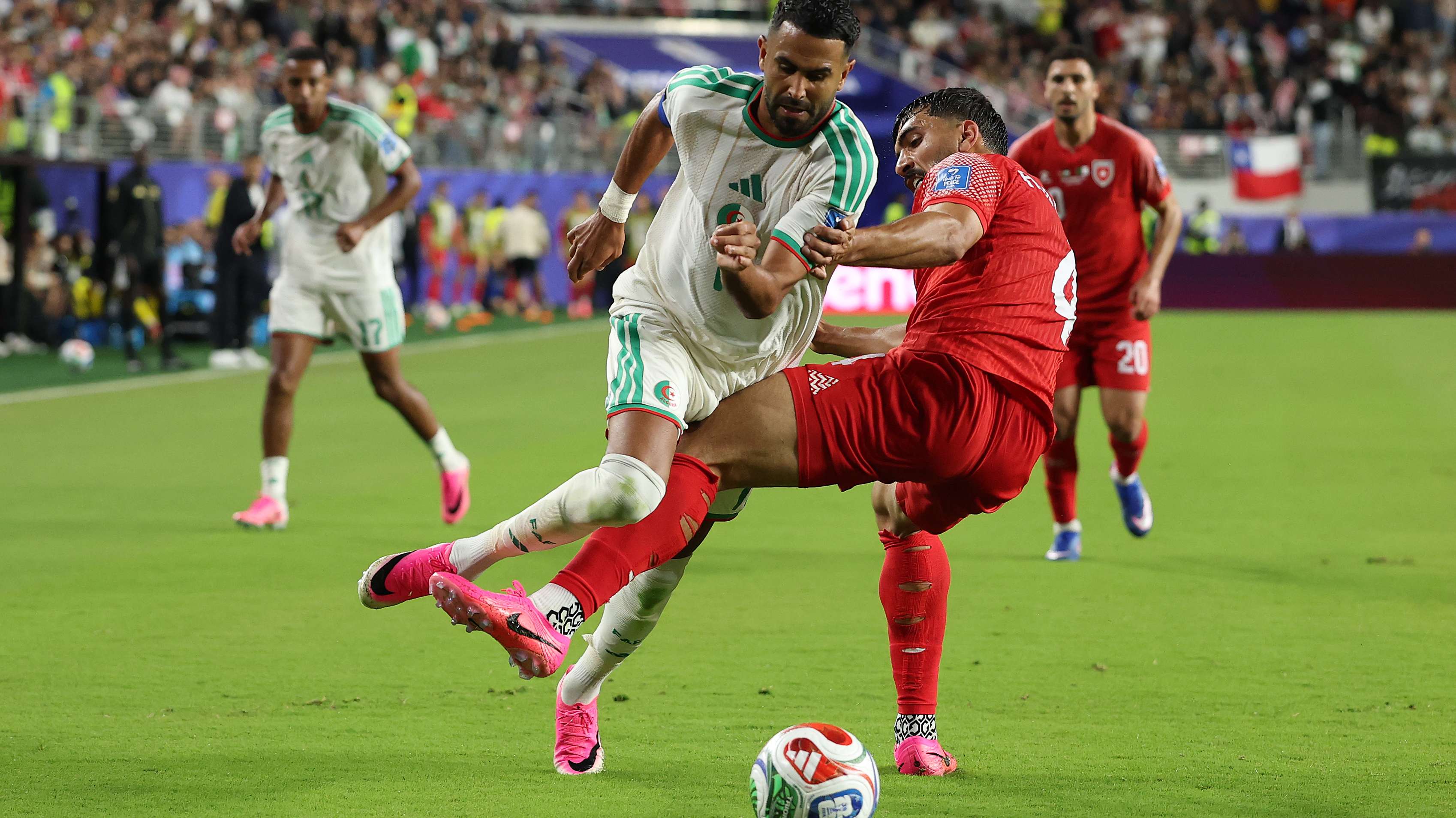 After the Renard and Xavi rumours: why is Algeria turning towards a local duo?  