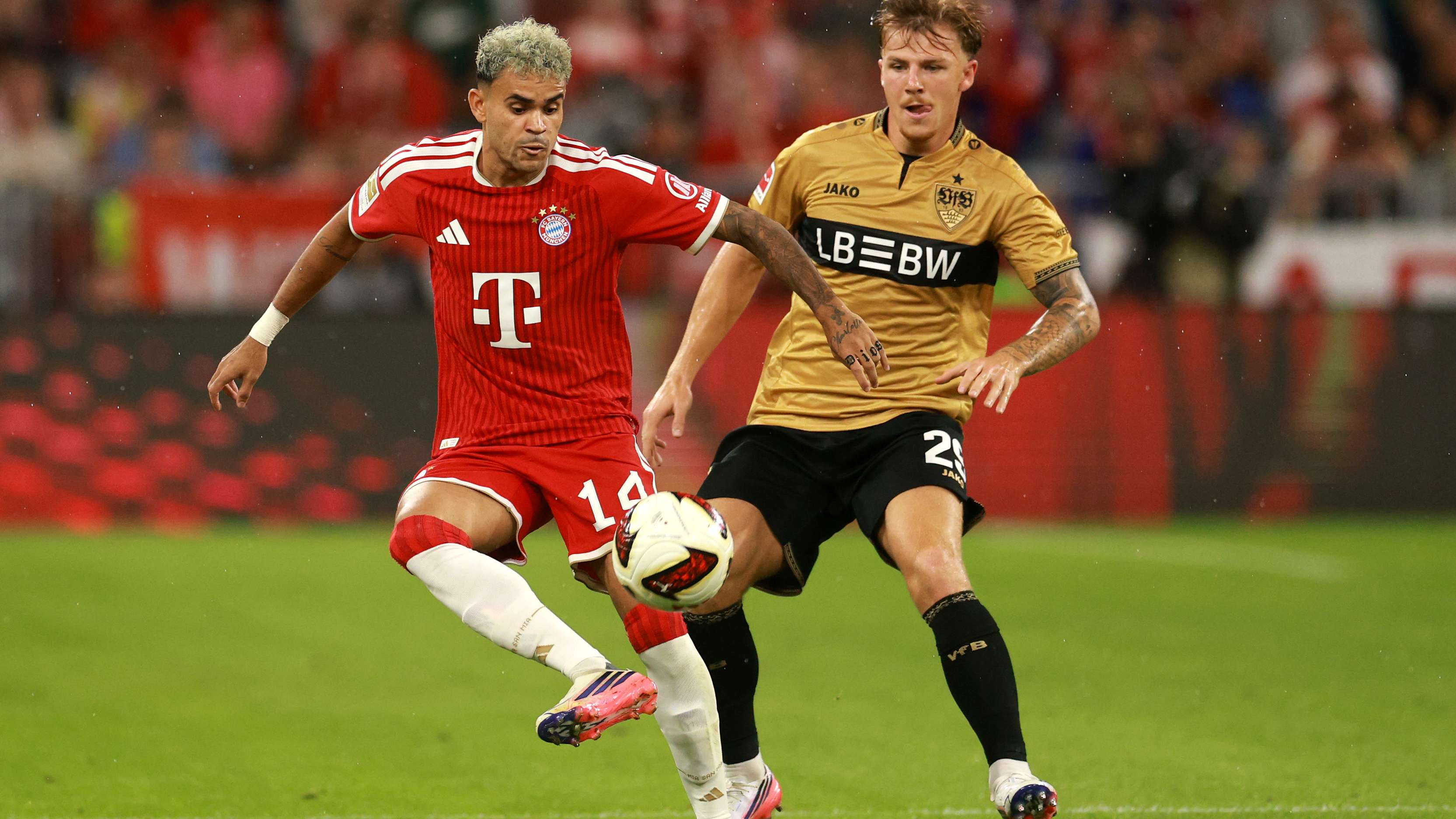 VfB newcomer is tipped for a move to a top club  