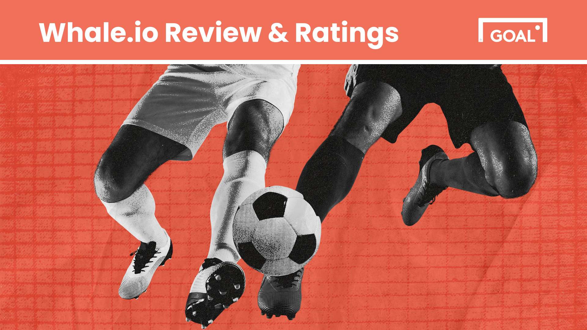 Whale Review – Is it One of the Best New Betting Sites?  
