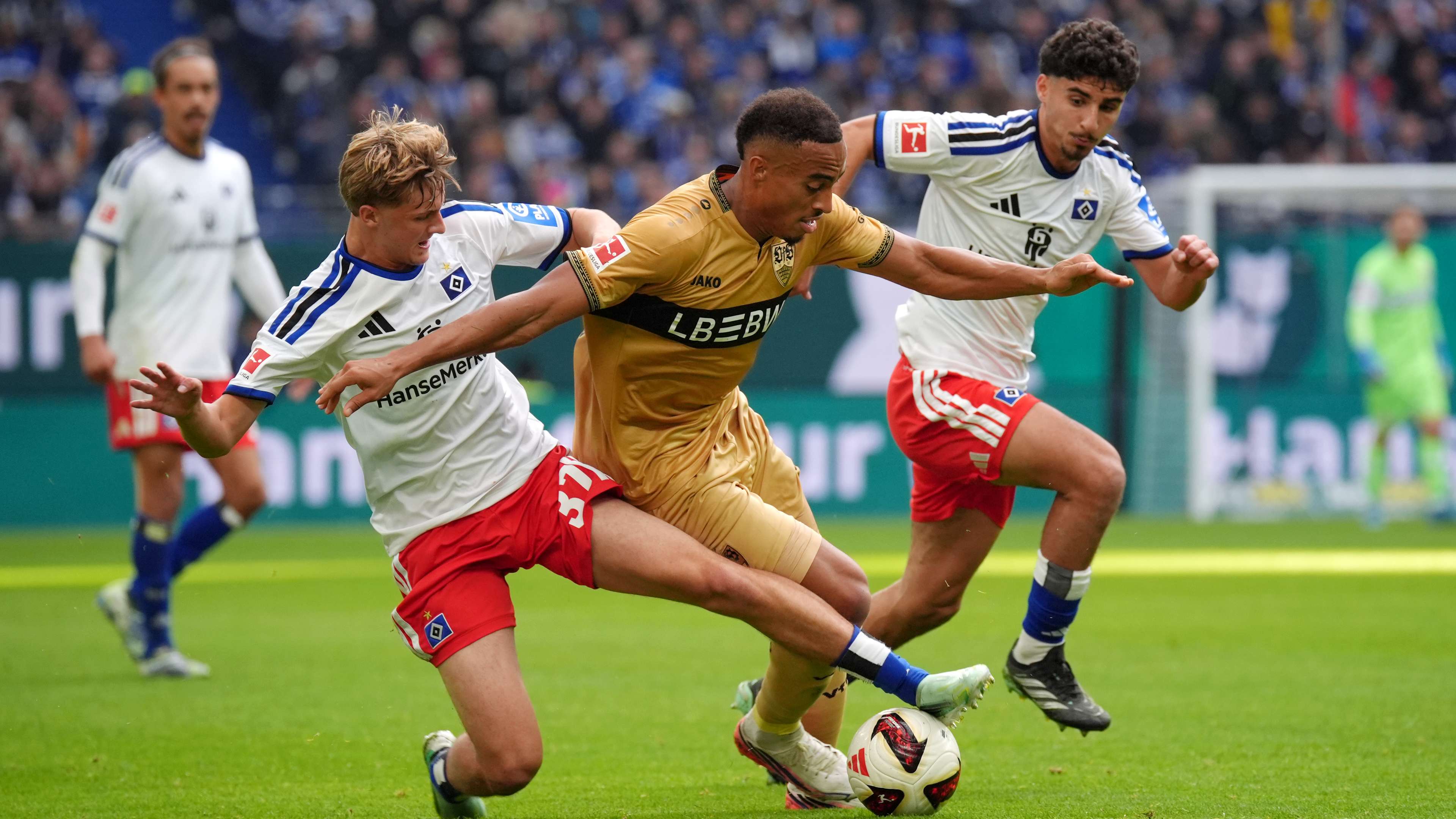 Muheim again! HSV extend their run – VfB in crisis  